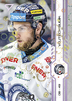 Vojtech Budik Liberec Tipsport ELH 2024/25 SportZoo 2. serie Puck Marks #303